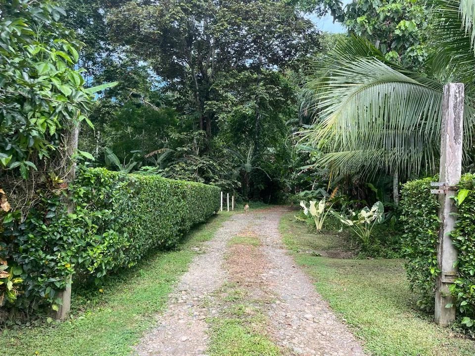 Vivienda en venta 4500 m². Cahuita. 