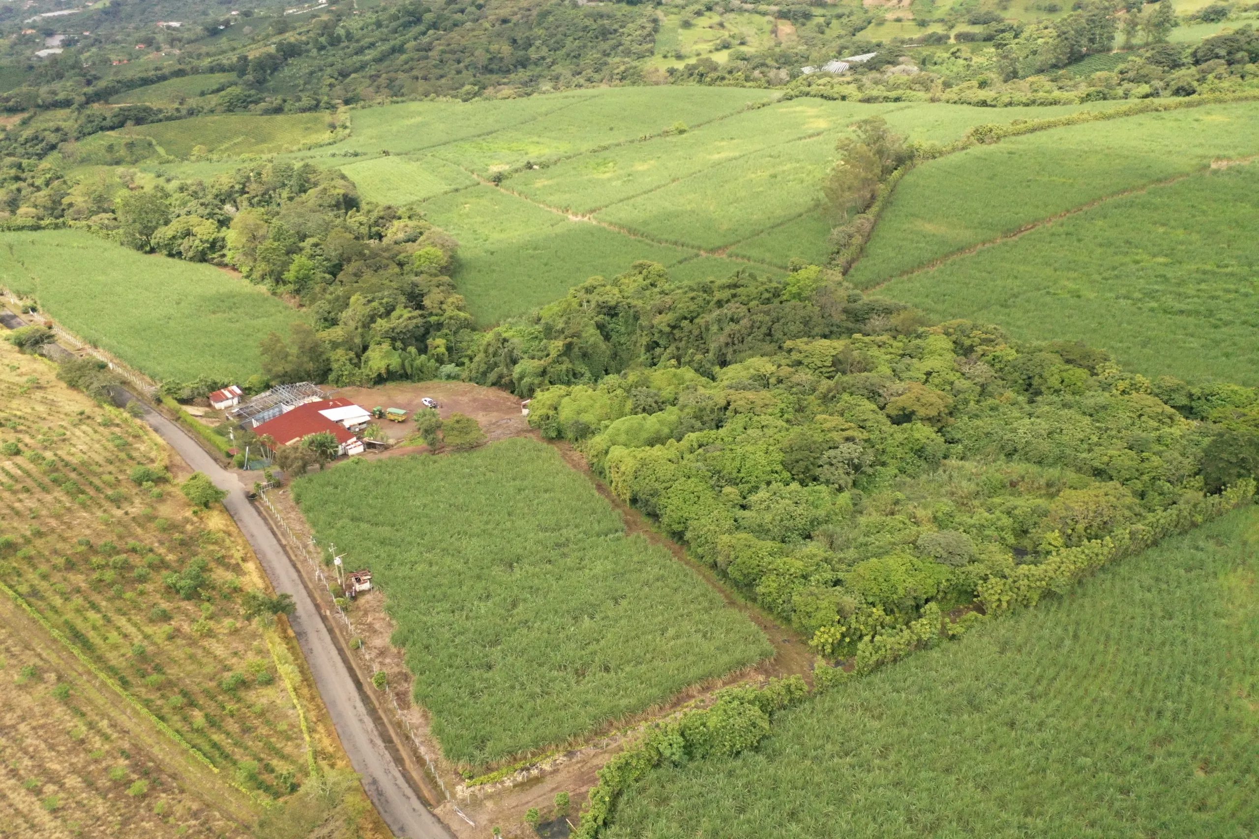 FInca Agricola 60ha