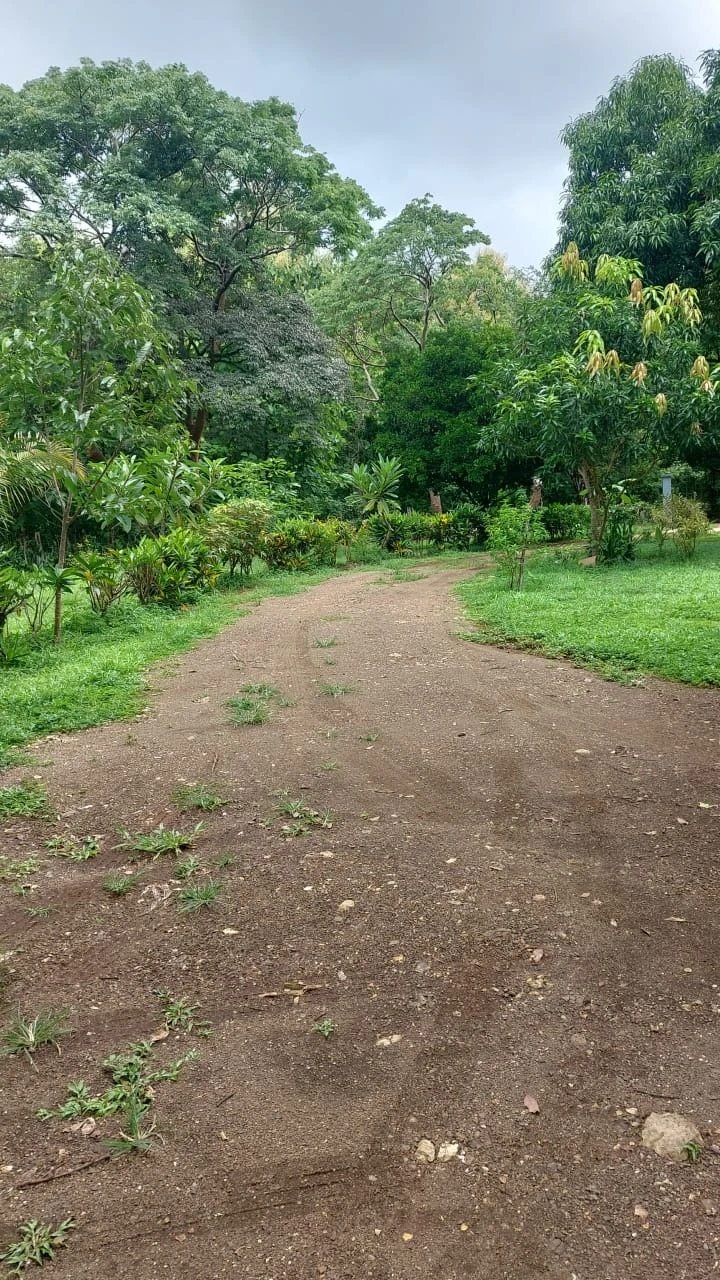 Venta de casas 150 m². Buchanan, Guastama Valley, Costa Rica, Nicoya. 